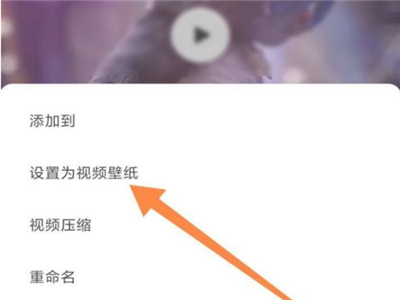 小紅書怎么設(shè)置動(dòng)態(tài)壁紙