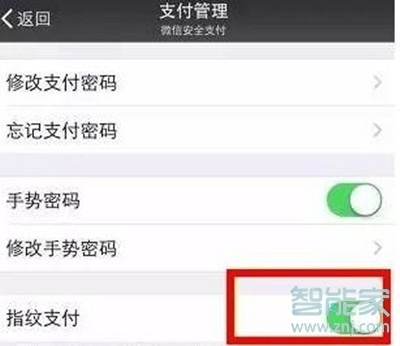 vivoz5微信怎么開(kāi)啟指紋支付