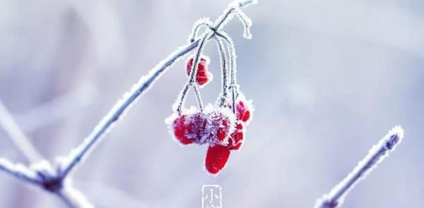 又是一年小寒日，小寒詩詞你可知？朋友圈文案有著落了