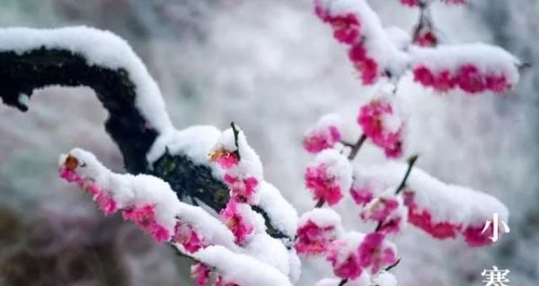 又是一年小寒日，小寒詩詞你可知？朋友圈文案有著落了