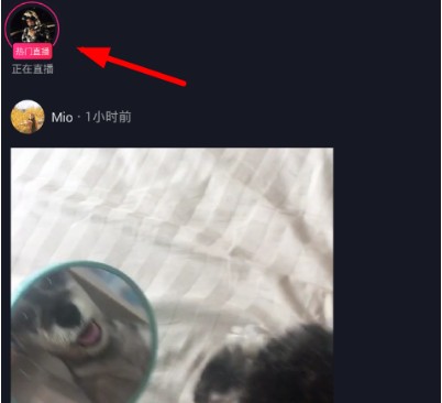 抖音怎么加入粉絲團？加入粉絲團方法說明