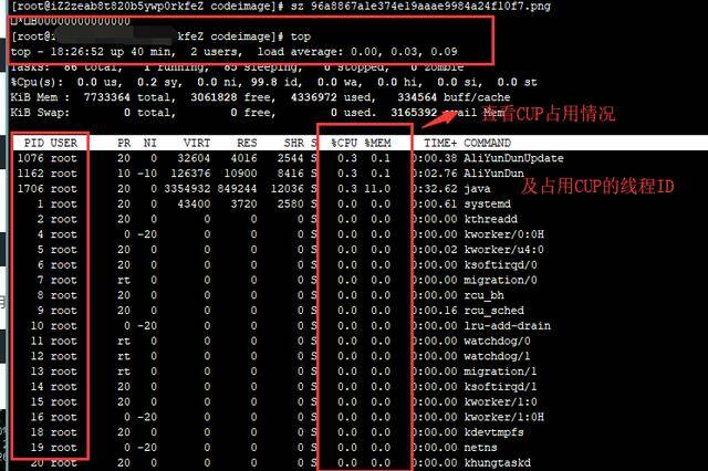 Java進(jìn)程cpu占用過高問題解決