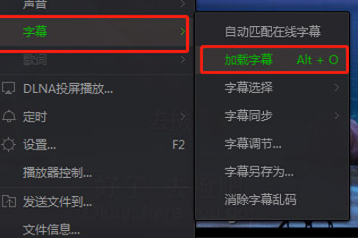 愛(ài)奇藝萬(wàn)能播放器怎么調(diào)字幕 手把手教你調(diào)出好字幕