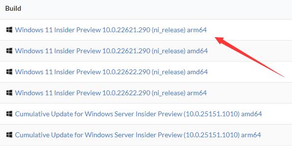 arm架構(gòu)win11下載教程