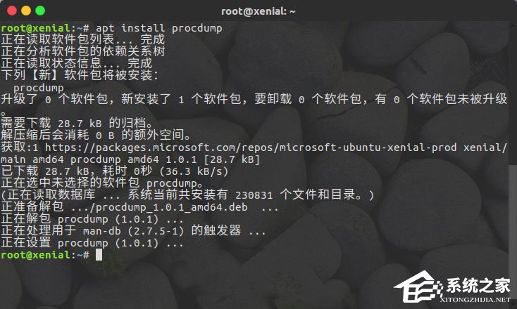 Linux系統(tǒng)如何安裝使用ProcDump for Linux？