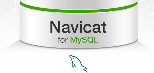 Navicat for MySQL 11注冊(cè)碼激活碼匯總